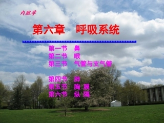 呼吸系统-程葆华1