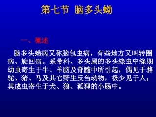 第七节 牛带绦虫蚴病(脑多头蚴)