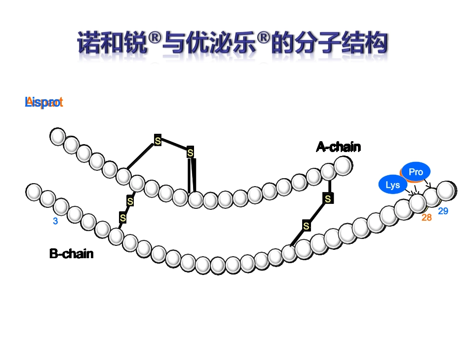 速效胰岛素类似物的优势比较_第2页