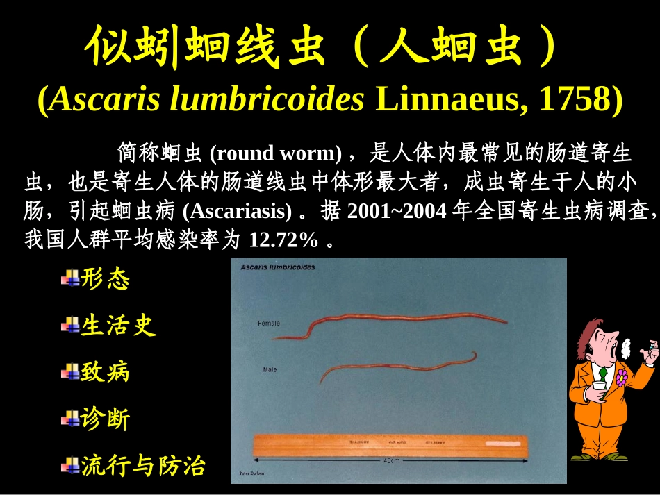 蛔虫(2011)_第2页