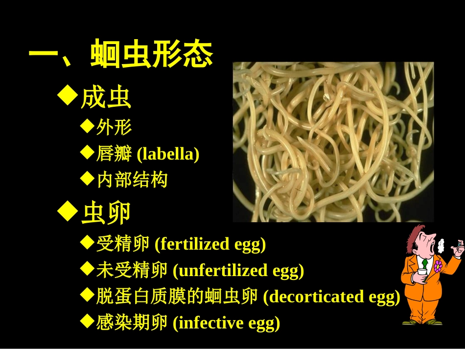 蛔虫(2011)_第3页