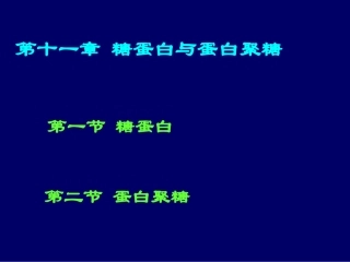 第十一章  糖蛋白与蛋白聚糖