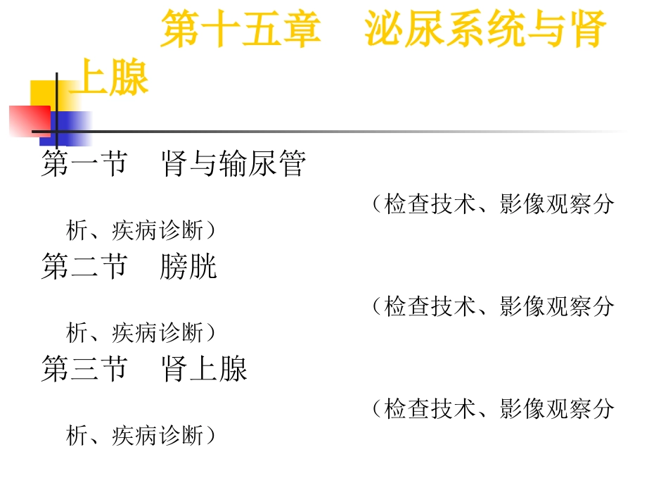 泌尿系统与肾上腺_第1页