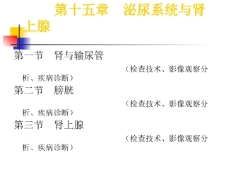 泌尿系统与肾上腺