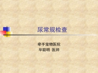 宠物尿常规检查及真菌螨虫粪便检查