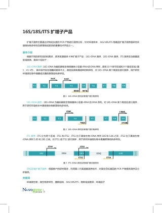 微生物16S、18S、ITS扩增子产品
