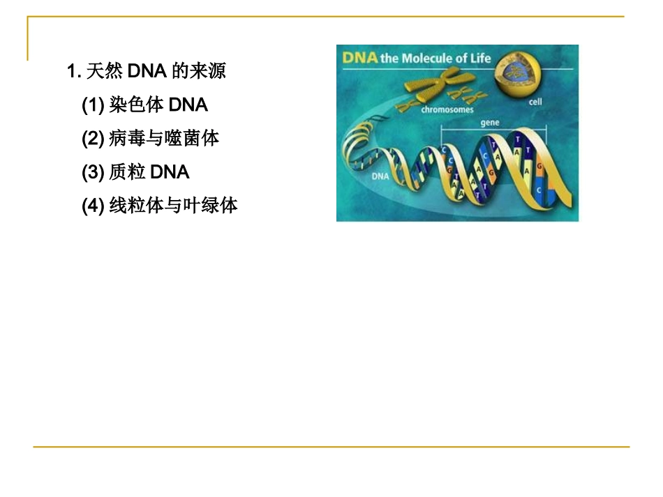 第四章 核酸电泳_第3页