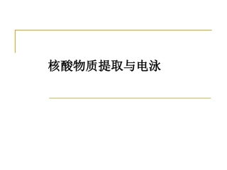 第四章 核酸电泳