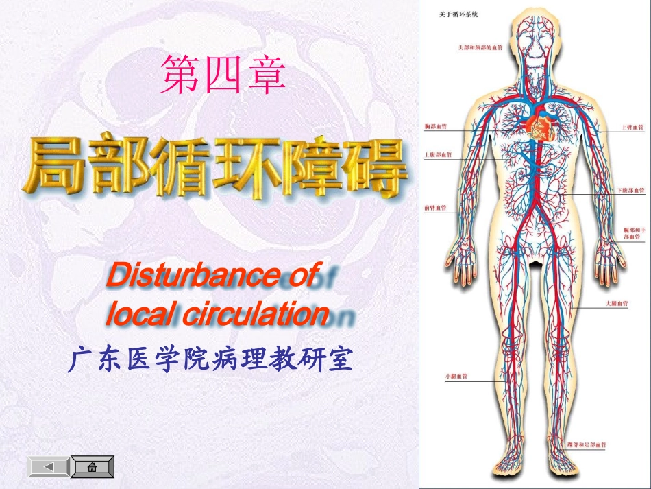 局部血液及体液循环障碍_第1页