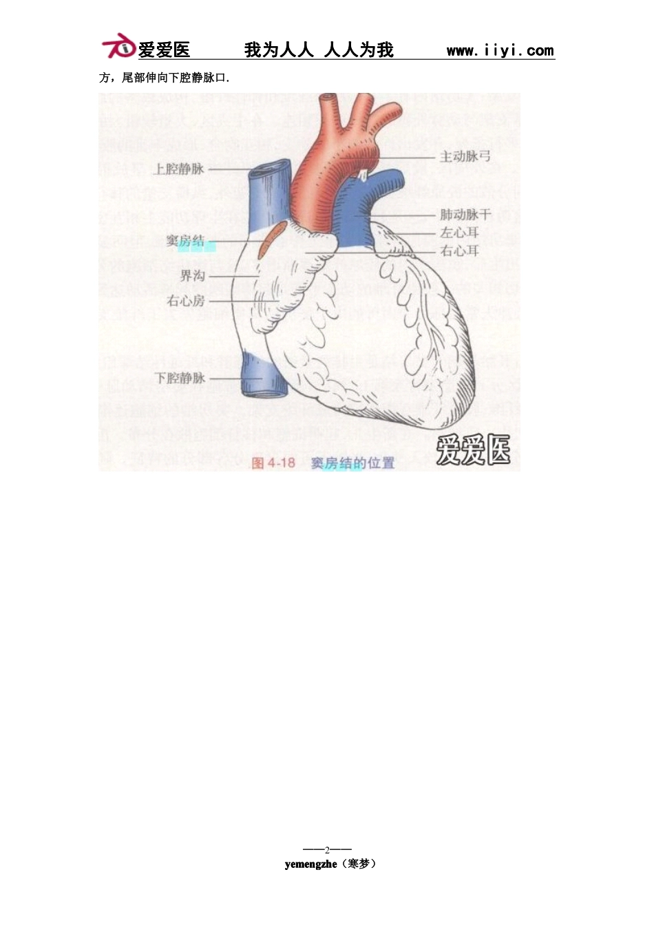 爱爱医(四)P波方向来源分析_第2页
