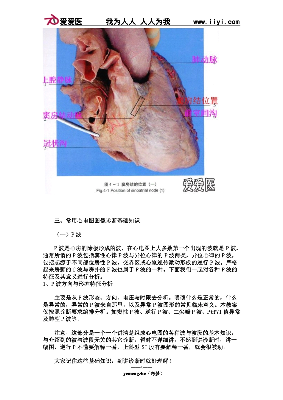 爱爱医(四)P波方向来源分析_第3页