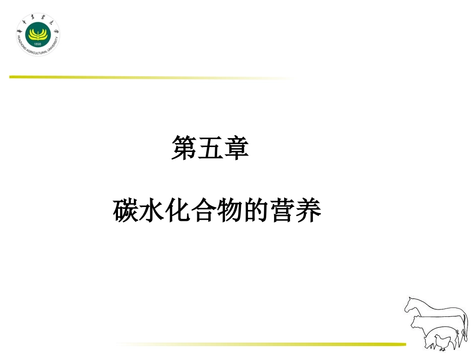 碳水化合物营养_第1页
