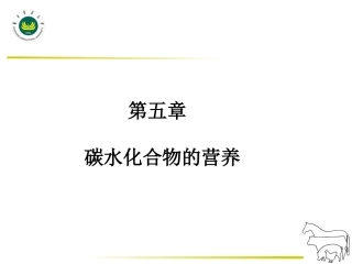 碳水化合物营养