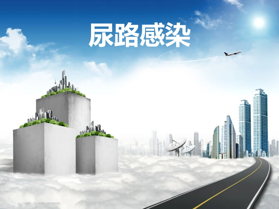 尿路感染及诊疗指南_第1页