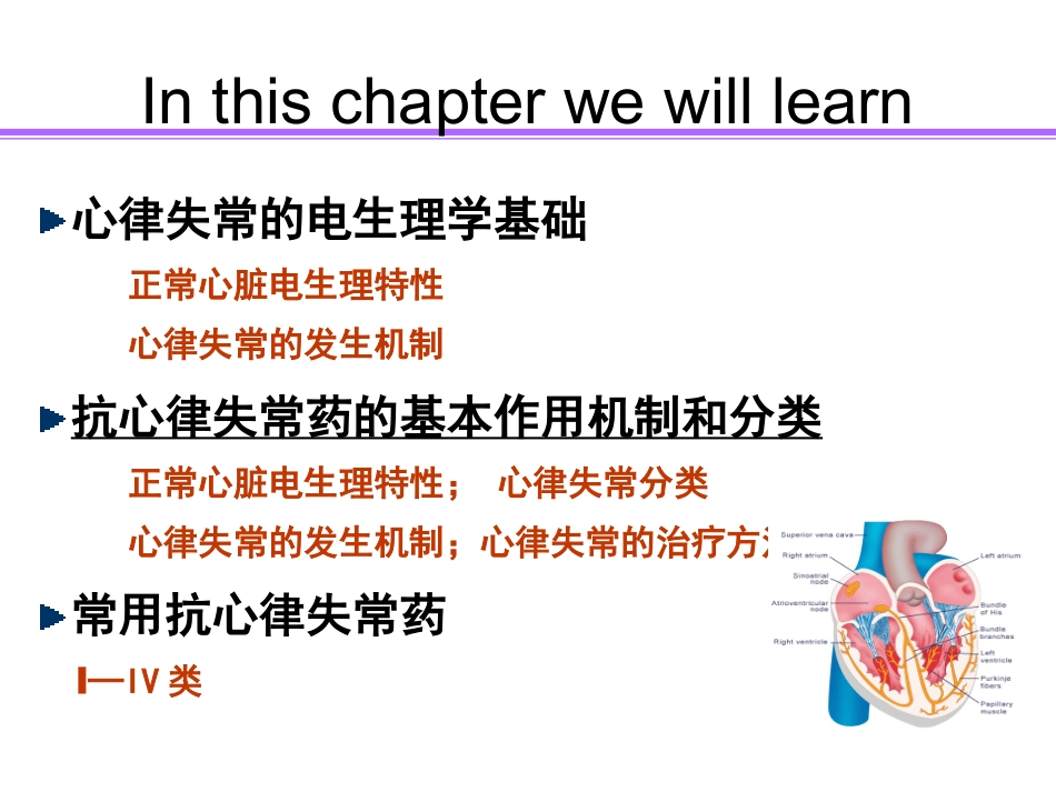抗心率失常药精讲_第3页