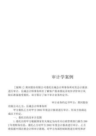 审计学案例汇总