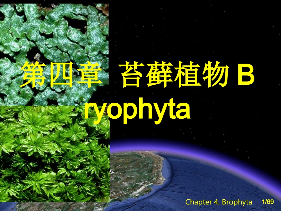 第四章 苔藓植物_第1页