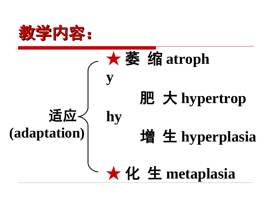 第一节细胞和组织的适应_第3页