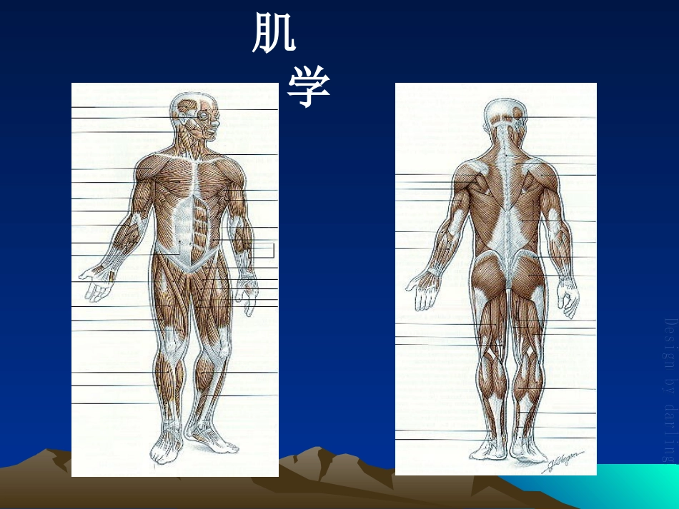 初级按摩师班-(肌肉-皮肤)_第1页