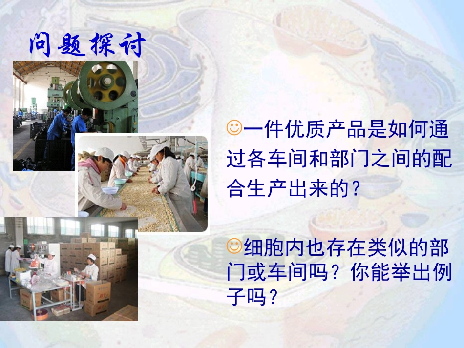 细胞器——系统内的分工合作12_第2页