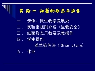 细菌的形态与染色.
