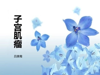 子宫肌瘤+PPT(修改)