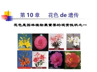 第十章   花色遗传