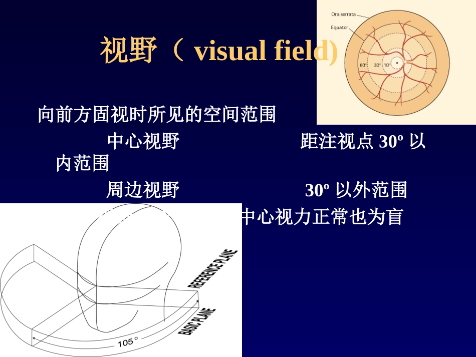 视野计及其检查、判读方法_第2页