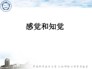 认知心理学 感觉和知觉