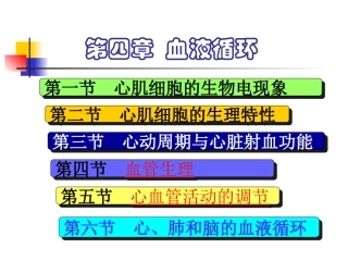第四章循环(大专)