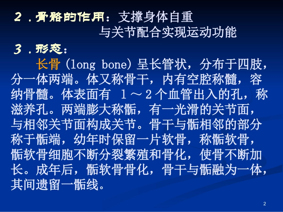 骨科生物力学_第2页
