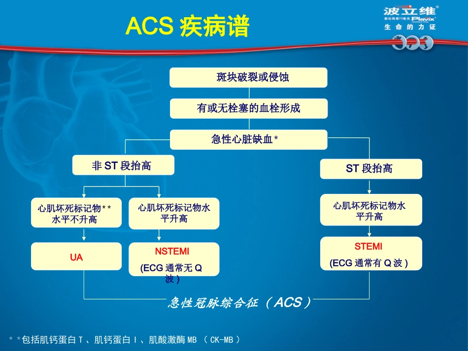 MMACS(波立维)_第3页