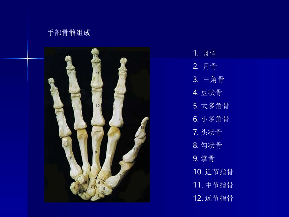 手外伤及断肢(指)再植(讲稿)_第2页