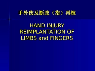 手外伤及断肢(指)再植(讲稿)