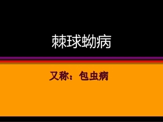 棘球蚴病ok
