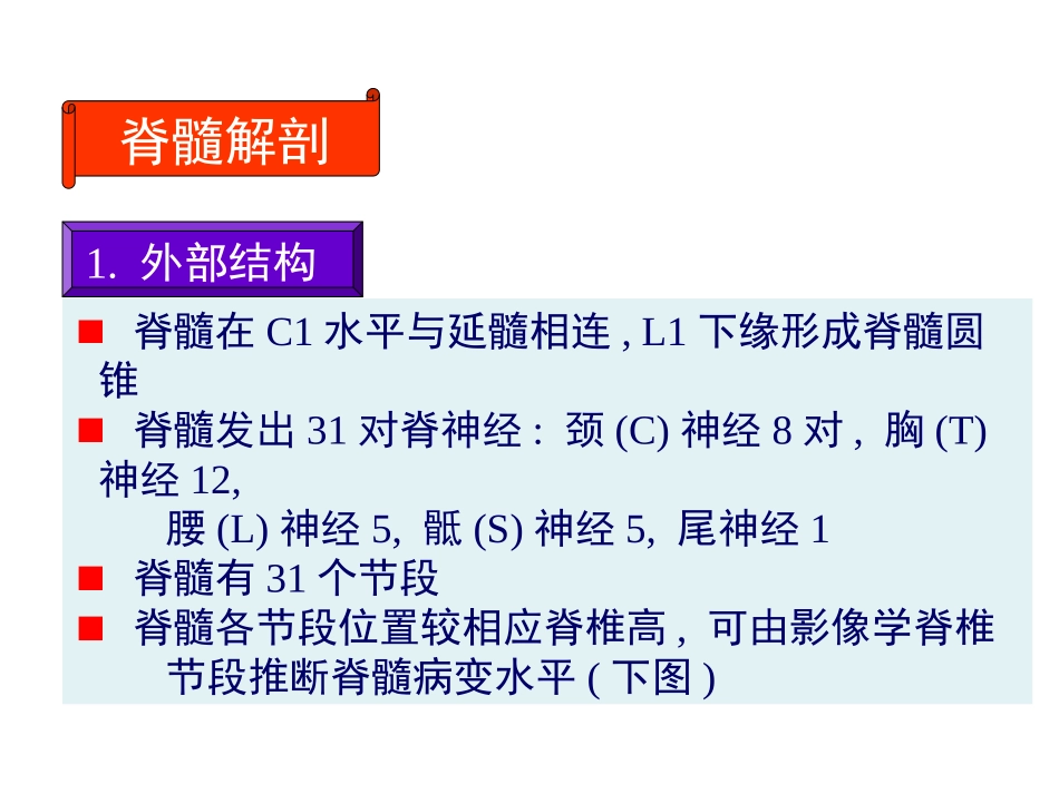 j神经病学脊髓病变_第2页