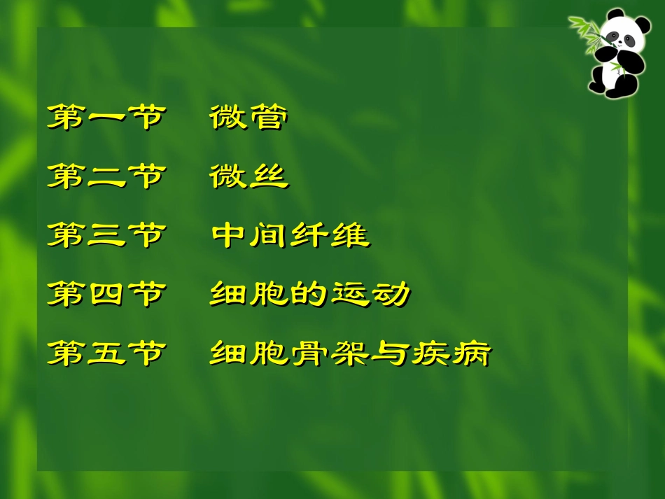 细胞骨架与细胞的运动_第3页