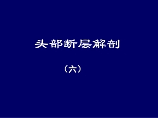 眶与鼻断层解剖