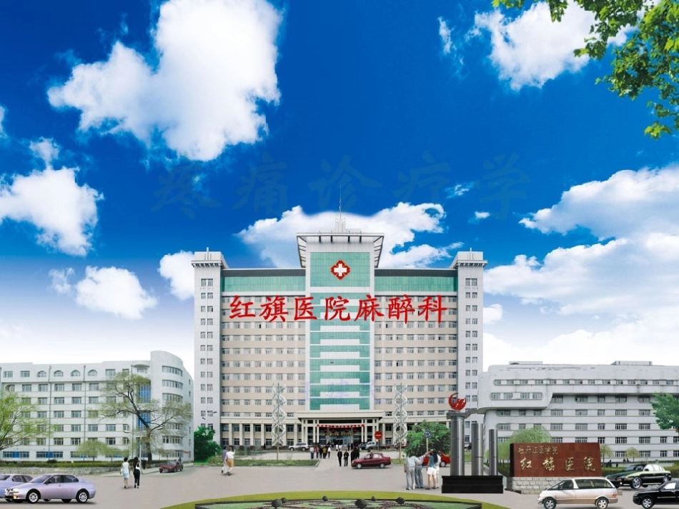 《疼痛诊疗学》_第1页