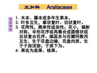 生药学09五加科
