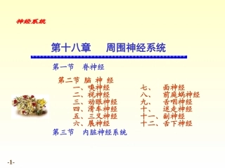 chapter脑神经精讲