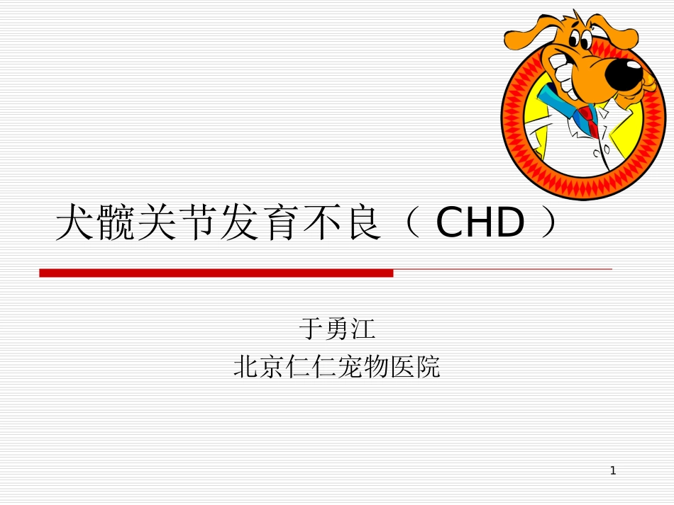 犬髋关节发育不良_第1页