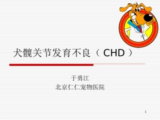 犬髋关节发育不良