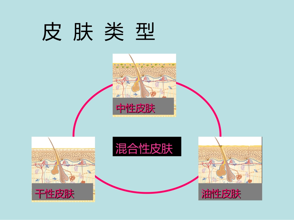第二讲：皮肤的类型和问题91_第2页