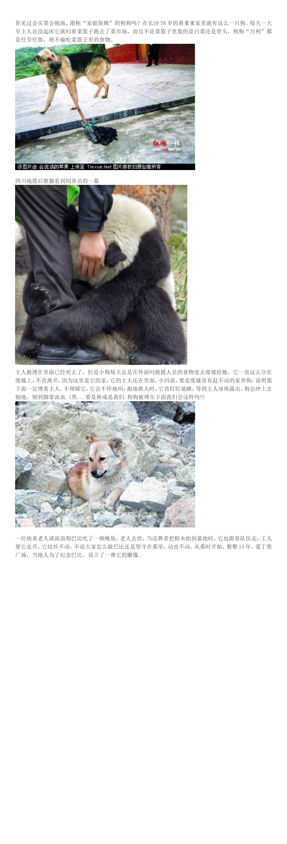 看到这些不禁落泪,这些动物太让人感动了!_第2页