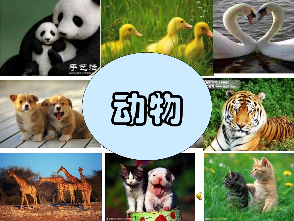 生命可以永恒吗_第2页