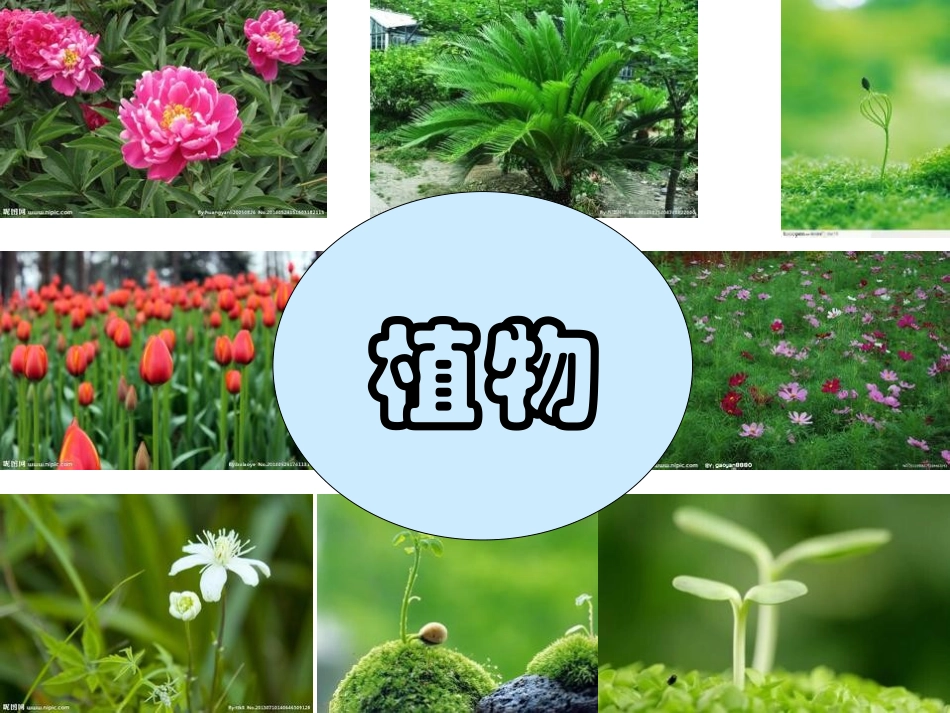 生命可以永恒吗_第3页