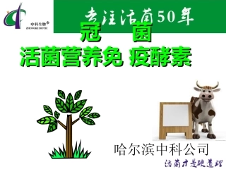 冠菌-活菌营养免疫酵素反刍兽介绍