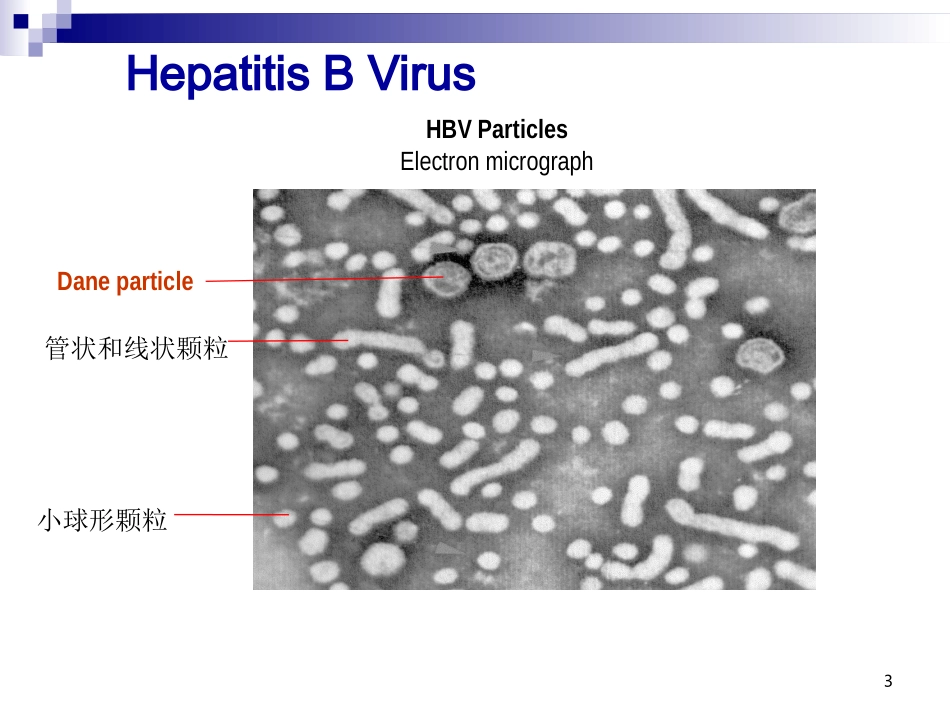 乙型肝炎标志物检测及质量控制_第3页