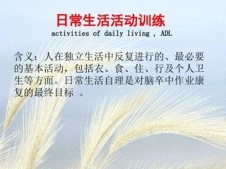 日常生活活动能力